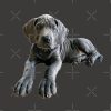 flat750x075f pad750x750f8f8f8 2 - Great Dane Merch