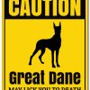 il fullxfull.5310944973 jhtp - Great Dane Merch