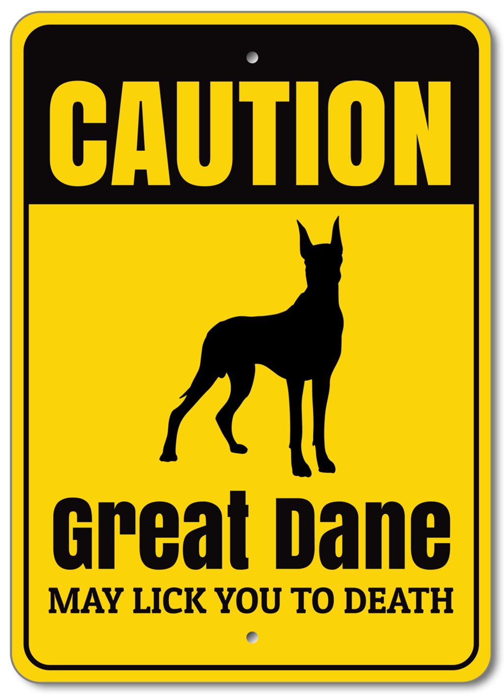 il fullxfull.5310944973 jhtp scaled - Great Dane Merch
